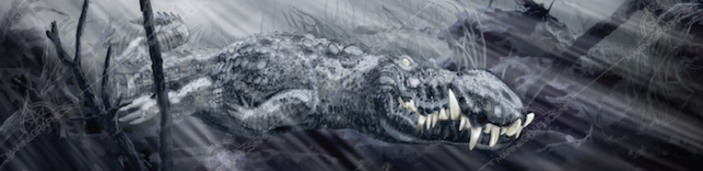 alligator_boat_graphics_florida