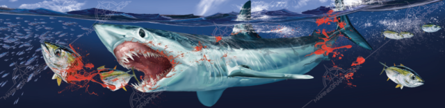 shark-boat-graphics